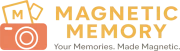 Magnetic Memory